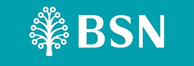Bank Simpanan Nasional-company-logo