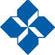 Beyondsoft Consulting-company-logo