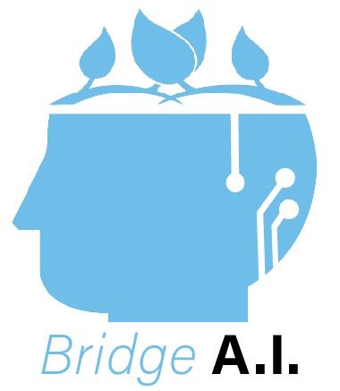 Bridge AI Limited-company-logo
