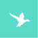 Optix Solutions-company-logo